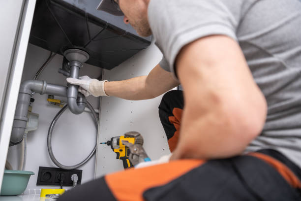 Best Local Plumber Services  in Payson, AZ
